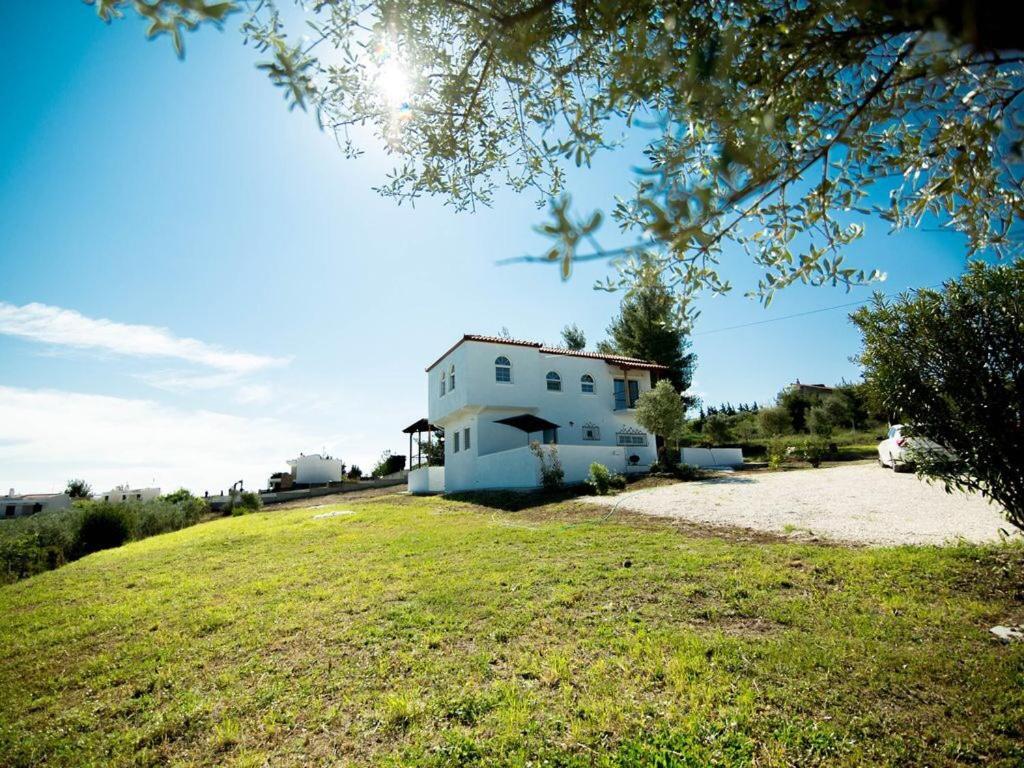 Grande Villa Chaniotis Extérieur photo